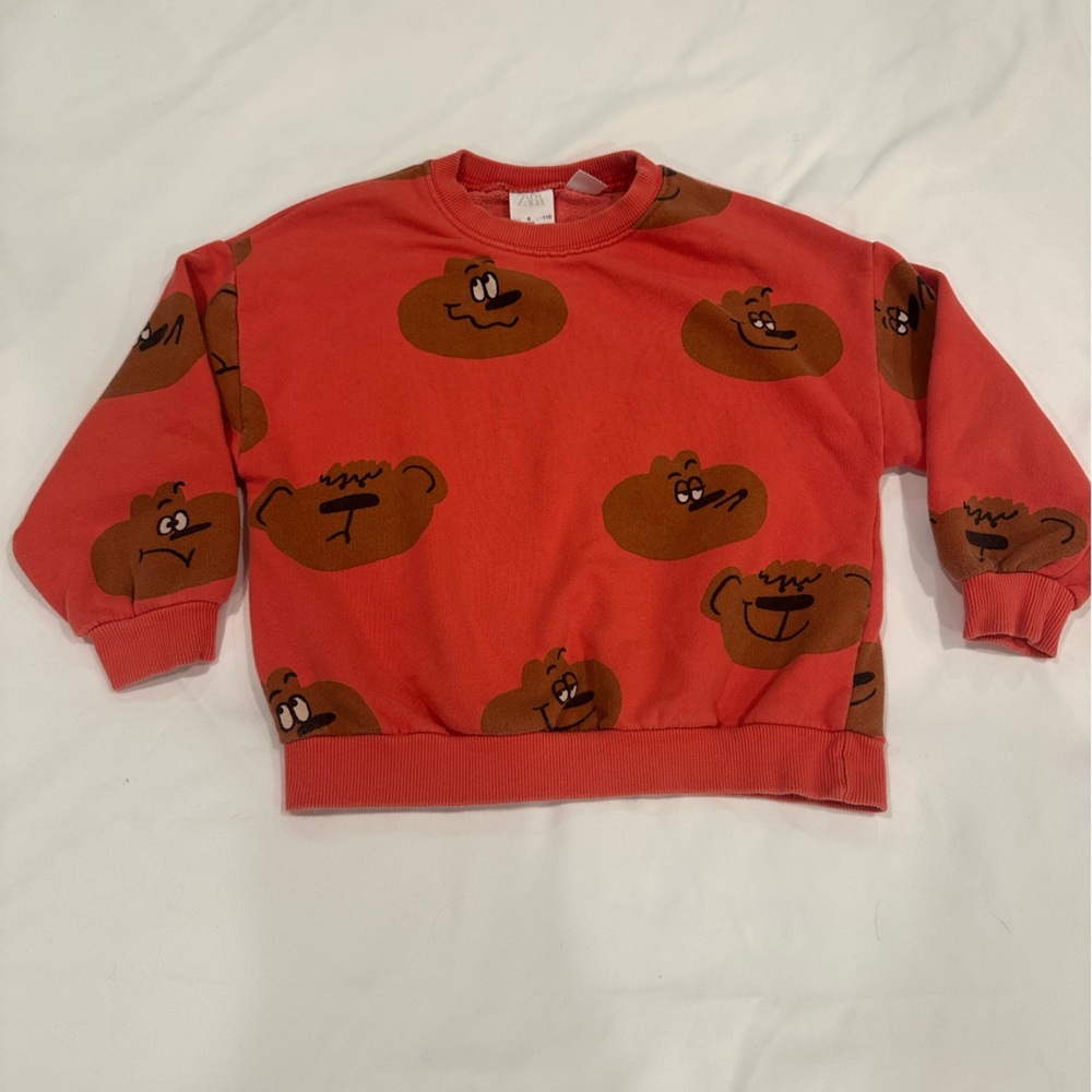 Zara Coral Sweatshirt with Brown Print - Picture 1 of 5